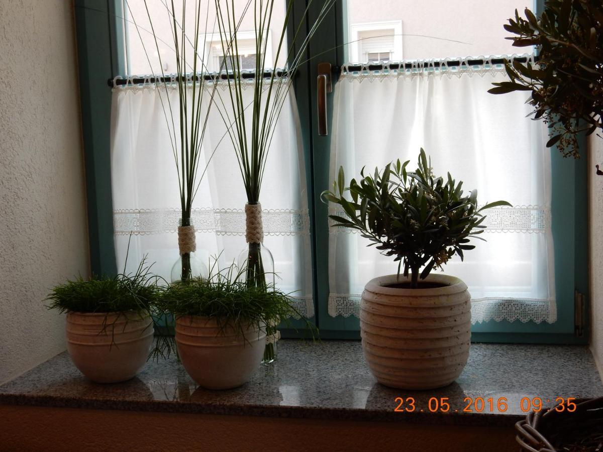 Guest house Parma &