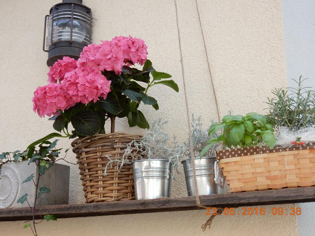 Guest house Parma & Maribor
